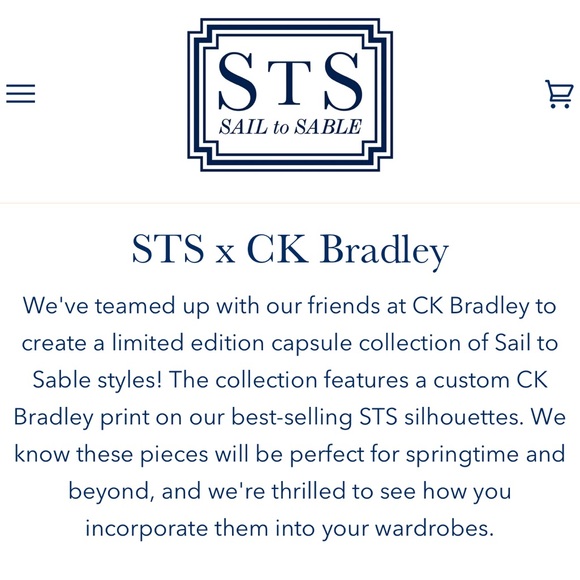 Sail to Sable CK Bradley Print Puff Sleeve Cotton Dress with Tassels size L - Picture 13 of 13